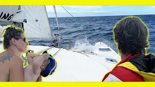 Outta fuel, outta food, outta water, OUTTA HERE! Bye Togeans. (Ep 273)