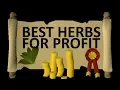 Best Herbs to Farm for Profit - OSRS Money Making