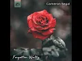 Forgotten Waltz