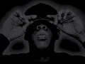 Jay-Z - What More Can I Say?