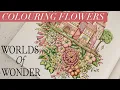 How to colour Flowers Mediterranean village part 2 WORLDS OF WONDER Johanna Basford Polychromos