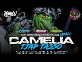 Lagu DJ CAMELIA TJAP TASSO VIRALL KARNAVAL GONDANG LEGI 2025 || DDMUSIC OFFICIAL