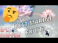 Why PAW is the BEST FRUIT for MARINES in Grand Piece Online