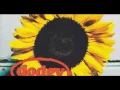 Dodgy - Good Enough