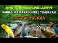 Download Lagu #5 LIVE MASTERAN BURUNG VARIASI IRAMA LAGU FULL TEMBAKAN KASAR