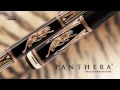 Predator Cues Panthera3 Special Edition Cues by Jacoby