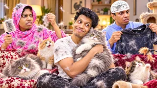 PARENTS FIND MY PET CATS IN THE HOUSE !!!