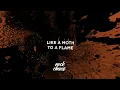Lana Del Rey - First Light (Lyrics)