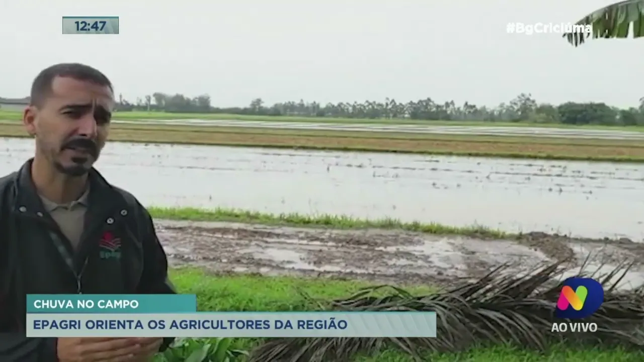 Epagri orienta rizicultores que mantenham fechadas as saídas de água das lavouras para evitar danos