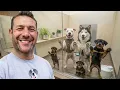 I Toured a Local Shelter and Adopted Their Dogs