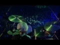 Download Lagu Stereopony - Namida No Mukou Final Live Sub Español