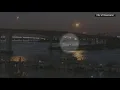One dead after boat crashes into ferry in Clearwater Florida