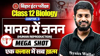 Human Reproduction Bihar - Class 12 Bihar Board Zoology