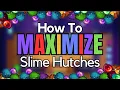 The Ultimate Slime Hutch Guide