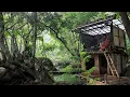 Download Lagu Camping di pinggir sungai renovasi shelter jadi 2 tingkat di guyur hujan deras dan panen ikan part1