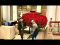 SECOND MEGA-BOUQUET OF ROSES SENT TO LA GILBERTONA AT HER FUNERAL