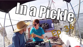 Summer Sail and Pickle Tasting | Sailing Wisdom Ep 34