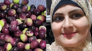 طريقه تخليل الزيتون الاسود بالطريقة السريعه والصحيحة 