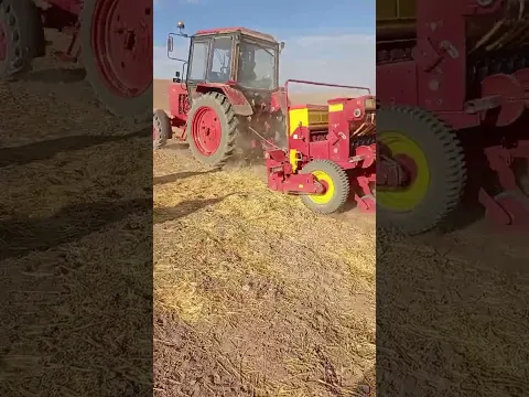 Dexqonobodda yerga ishlov bermasdan arpa ekilmoqda. 27 sentabr 2026 yil