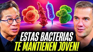 Tu Intestino es la Clave de la Juventud: ¡Las 4 Bacterias Esenciales! | Dr. William Li