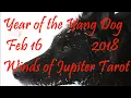 Rabbit 2018 Chinese New Year Reading - Born 1951 1963 1975 1987 1999 2011