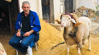 عنتر بطل تونس كبش لن ينساه التاريخ التسعينات 