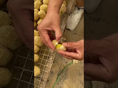 🥰 Satisfying with delicious egg  pancake #streetfood #satisfying #satisfyingvideo