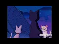 Sailor Stars Artemis Tells Luna Diana about Nehelenia s Mirror Johnny Yong Bosch