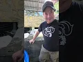 Episode 2 New Koi S Legend Bloodline