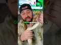 Download Lagu 🚨 Boa Constrictor Care: The 1 Mistake You MUST Avoid