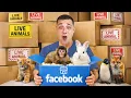 I Bought Mystery Animals on Facebook Marketplace
