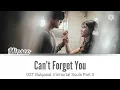 Minseo (민서) - 'Can't Forget You 잊을 수 없다면' (Bulgasal: Immortal Souls OST Part 3) Lyrics