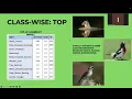 Bird Species Classification Using CNN