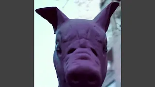          دندنها