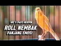 Download Lagu KENARI GACOR PANJANG Emosi Cuit Cuit NGEROL AMPUH utk Pancingan Kenari Paud dan Masteran Murai Batu
