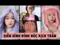 Download Lagu CHANG DORY BIẾN HÌNH ĐỈNH NÓC KỊCH TRẦN BAY PHẤP PHỚI