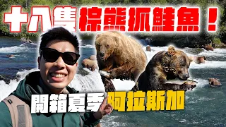 划獨木舟划進超巨大冰川裡！近距離直擊棕熊抓鮭魚！