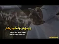 شيلة وينهم واخبارهم || سلطان البريكي + Mp3