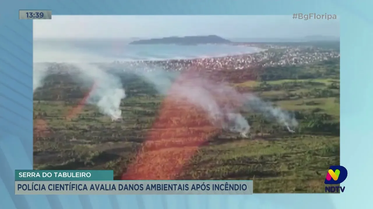 Polícia científica avalia danos ambientais após incêndio na serra do tabuleiro