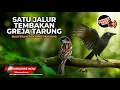 Download Lagu 🔴 Srigunting Abu Abu Super Gacor Isian Full Temabakan Greja Tarung Panjang Download Lagu 🔴 Srigunting Abu Abu Super Gacor Isian Full Temabakan Greja Tarung Panjang