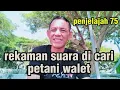 Hasil rekaman suara asli walet yang di cari 