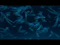 Bright Eyes - Forced Convalescence