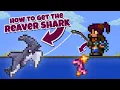 How to get REAVER SHARK in Terraria