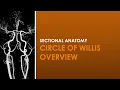 Recognizing the Circle of Willis on CT Scans