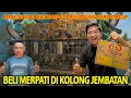 Download Lagu BELI MERPATI DI KOLONG JEMBATAN DARI PEDAGANG YANG UDAH JUALAN MERPATI LEBIH DARI 40 TAHUN! GIRING!