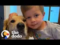 Download Lagu This Dog Is So Loyal, He Checks Up On Toddler Every Night | The Dodo Soulmates