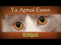 Ya Agmal Eyoun - Dai Syed (karaoke)