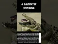 Download Lagu The Most Dangerous Animals in the World #shorts
