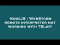 NodeJS WebStorm remote interpreter not working with TSLint