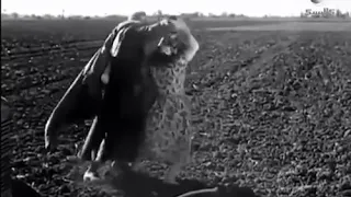 مشهد كوميدي من فيلم لقمة العيش 